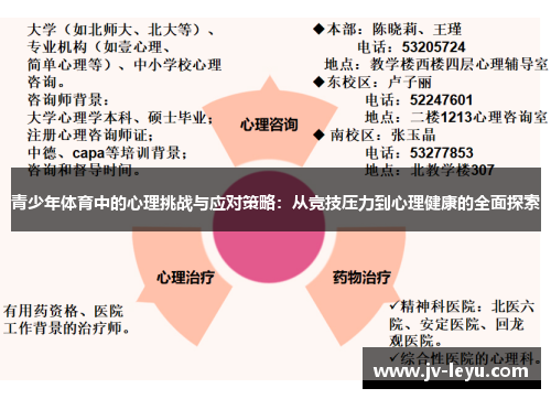 青少年体育中的心理挑战与应对策略:从竞技压力到心理健康的全面探索 青少年体育中的心理挑战与应对策略:从竞技压力到心理健康的全面探索