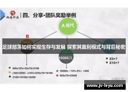 足球部落如何实现生存与发展 探索其盈利模式与背后秘密 足球部落如何实现生存与发展 探索其盈利模式与背后秘密