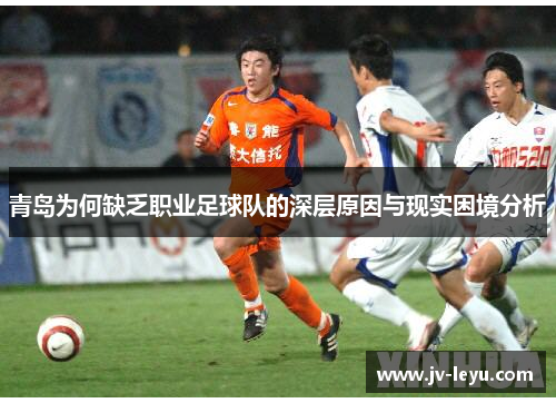 青岛为何缺乏职业足球队的深层原因与现实困境分析