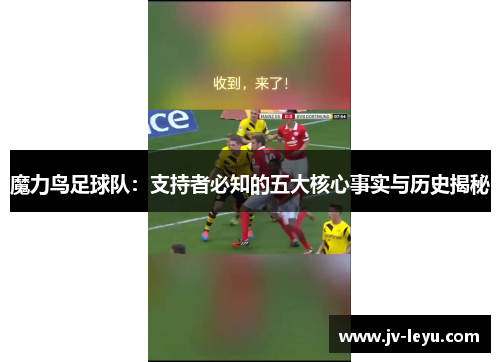 魔力鸟足球队：支持者必知的五大核心事实与历史揭秘